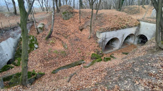 Obraz zawieraj�cy na wolnym powietrzu, drzewo, ziemia, ro�lina

Opis wygenerowany automatycznie