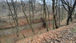 Obraz zawieraj�cy na wolnym powietrzu, trawa, teren le�ny, niebo

Opis wygenerowany automatycznie