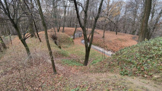 Obraz zawieraj�cy na wolnym powietrzu, drzewo, trawa, niebo

Opis wygenerowany automatycznie