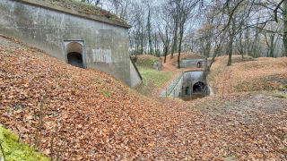 Obraz zawieraj�cy na wolnym powietrzu, drzewo, trawa, kamie�

Opis wygenerowany automatycznie