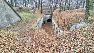 Obraz zawieraj�cy na wolnym powietrzu, trawa, drzewo, ro�lina

Opis wygenerowany automatycznie