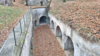 Obraz zawieraj�cy na wolnym powietrzu, ziemia, trawa, ro�lina

Opis wygenerowany automatycznie