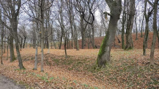 Obraz zawieraj�cy na wolnym powietrzu, trawa, ro�lina, niebo

Opis wygenerowany automatycznie